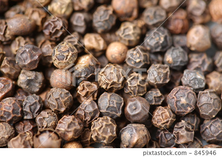Black Pepper Black Pepper 845946