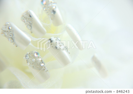 指甲尖（白色） 846243