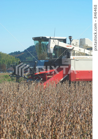 收穫的大豆領域 846468