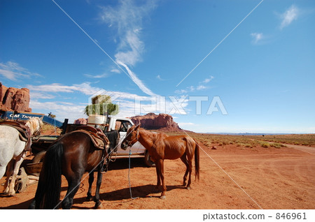 wilderness, equine, horse 846961