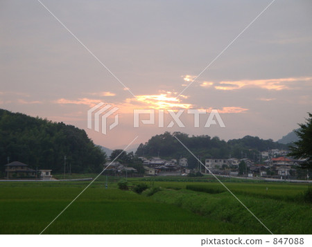 Paddy fields and clouds Paddy fields and clouds 847088