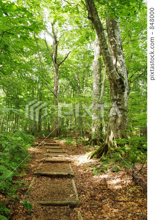 trekking trekking 848000