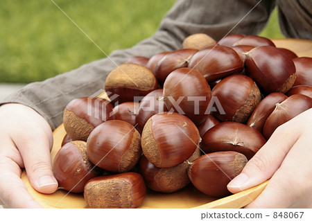 重栗子和手 848067