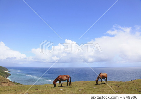 與Yonaguni馬景觀 848906