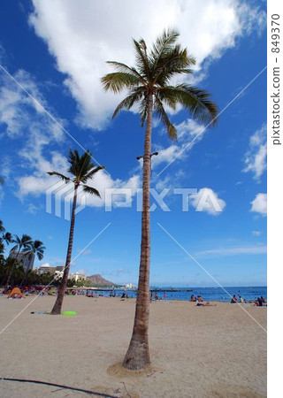  Hilton Hawaiian Village 849370