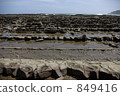 devil's washboard, aoshima, natural monument 849416