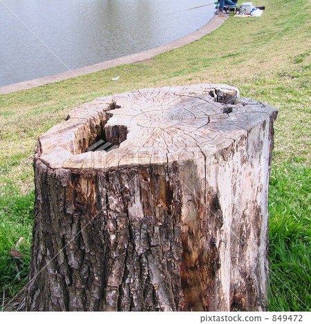 Park stumps Park stumps 849472