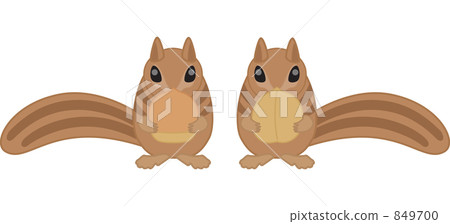 Chipmunk with acorn and walnut 849700