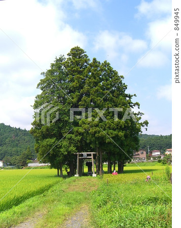 Yasaka Shrine Tanagura-machi 2 Yasaka Shrine Tanagura-machi 2 849945