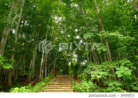 世界自然遺產 世界自然遺產 849955