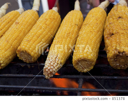 Grilled corn 851378