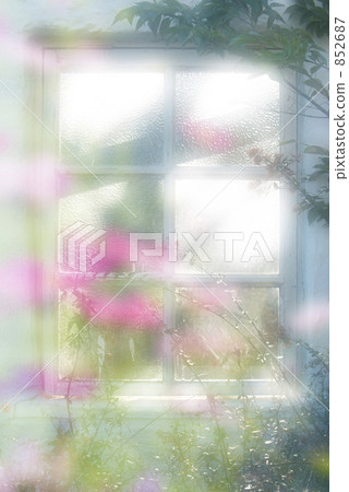 A window 852687