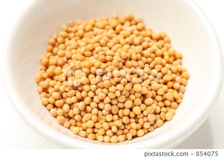 mustard mustard 854075