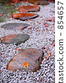 stepping stone, fallen leafe, falling leafe 854657