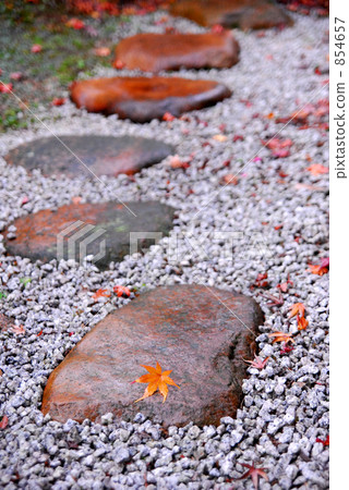 stepping stone, fallen leafe, falling leafe 854657