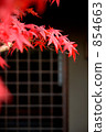red leafe, entrance, entranceway 854663