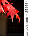 red leaf, planting tree, entrance 854664