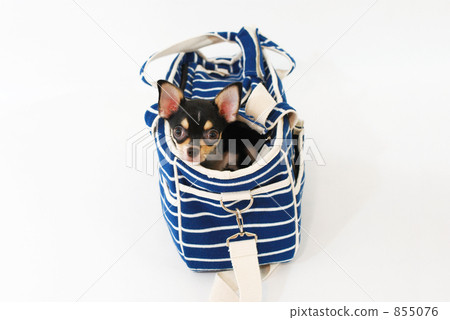 Puppy and Carry Bag Puppy and Carry Bag 855076