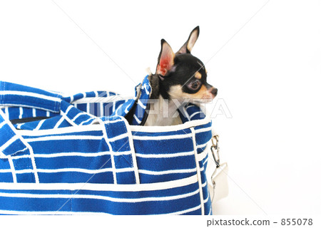 Puppy and Carry Bag Puppy and Carry Bag 855078