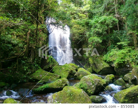 和歌山縣Kuwano樹瀑布 855085