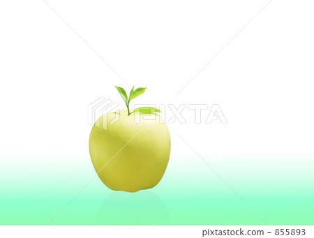 Apple圖片 Apple圖片 855893