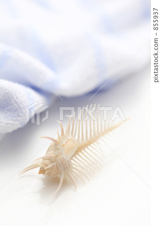 毛巾和大黃蜂 855937