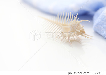 蜜月和藍色毛巾 855938