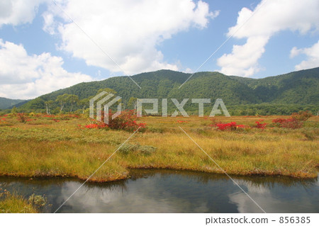 Oze's pond Oze's pond 856385