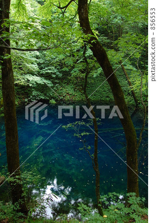 @ Aoike 2009 @ Aoike 2009 856553