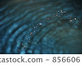 Water pattern of the garden pool 856606