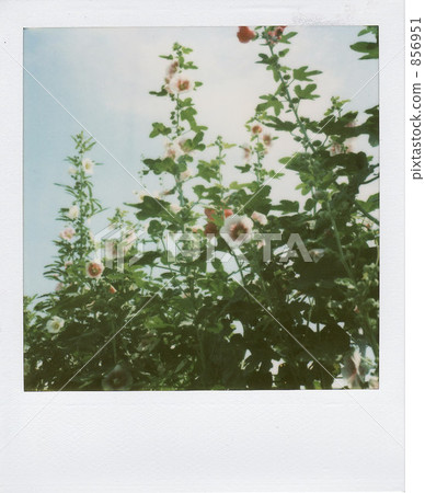 在...之上 在...之上 856951