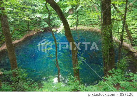 Zuiko Aoike Zuiko Aoike 857126