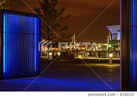 zou no hana park, yokohama bay bridge, night scape 858010