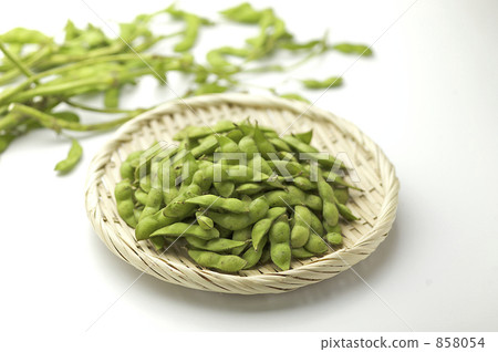 今天的豆子 858054