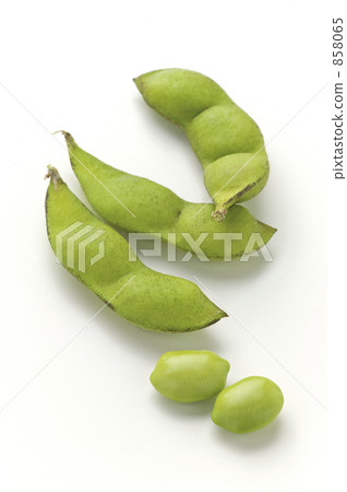 今天的豆子 858065