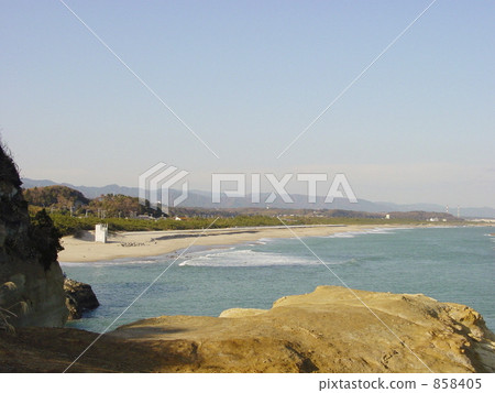 Cormorant Cape Coast 858405