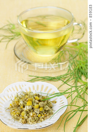 香草茶(洋甘菊) 香草茶(洋甘菊) 859183