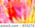 bloom, blossom, blossoms 859278