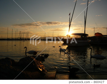 日內瓦湖日落煥發 日內瓦湖日落煥發 860427