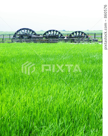 Triple water turbines and rice 1 860576