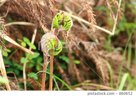 發條 發條 860652