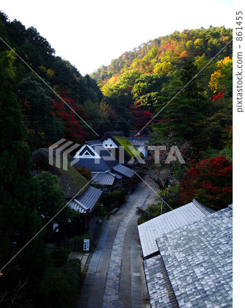 稻草茅草屋頂 鳥居本（地名） 日式房屋 861455