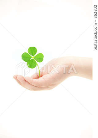 Children's hands and four leaf clovers 862832