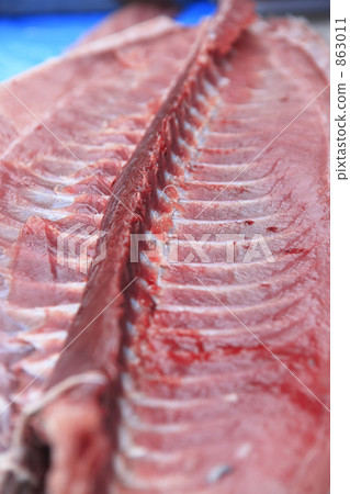 金槍魚 金槍魚 863011