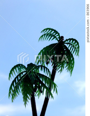 Palm tree silhouette 863966