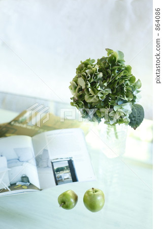 Autumn cold hydrangea and apples Ⅱ 864086