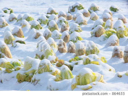 可愛的雪帽 可愛的雪帽 864633