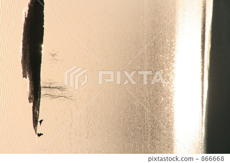 watering hole, water surface, evening 866668