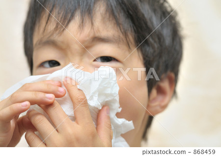 吹你的鼻子 吹你的鼻子 868459