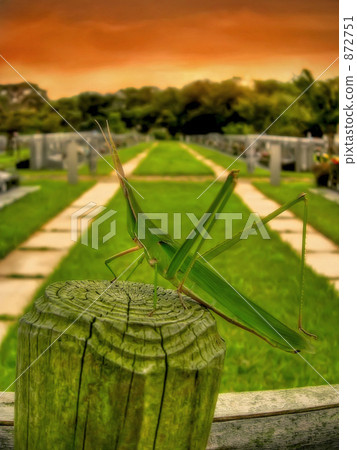 Dusk of a visit to a grave Dusk of a visit to a grave 872751